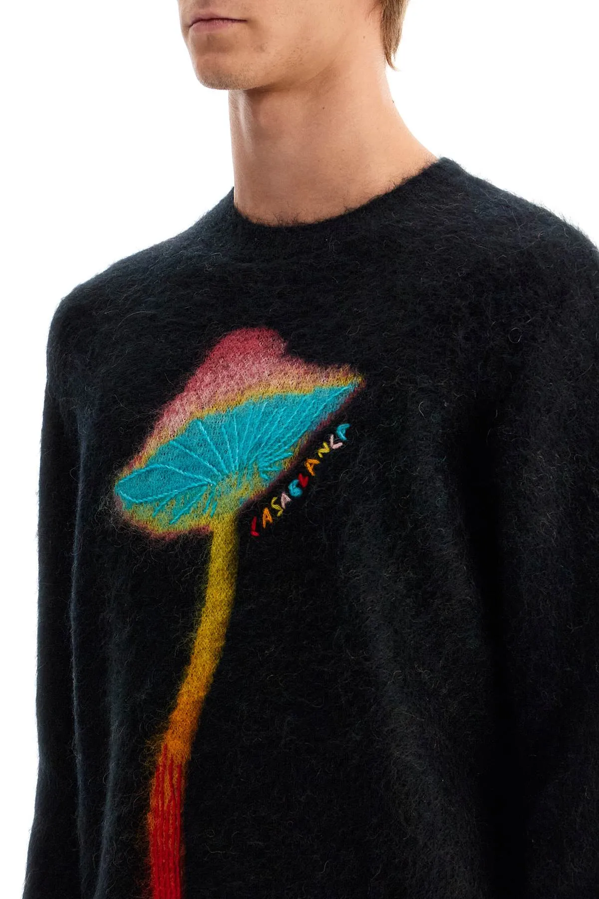 Maglione di funghi arcobaleno Casablanca